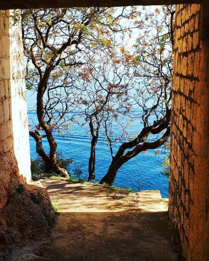 Eden Mediterranean House Vrsine エクステリア 写真
